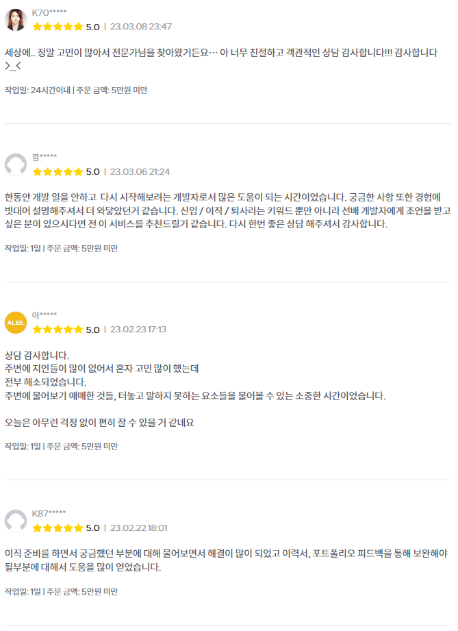 [리뷰]개발자 취업 이직 퇴사 커리어 고민 상담