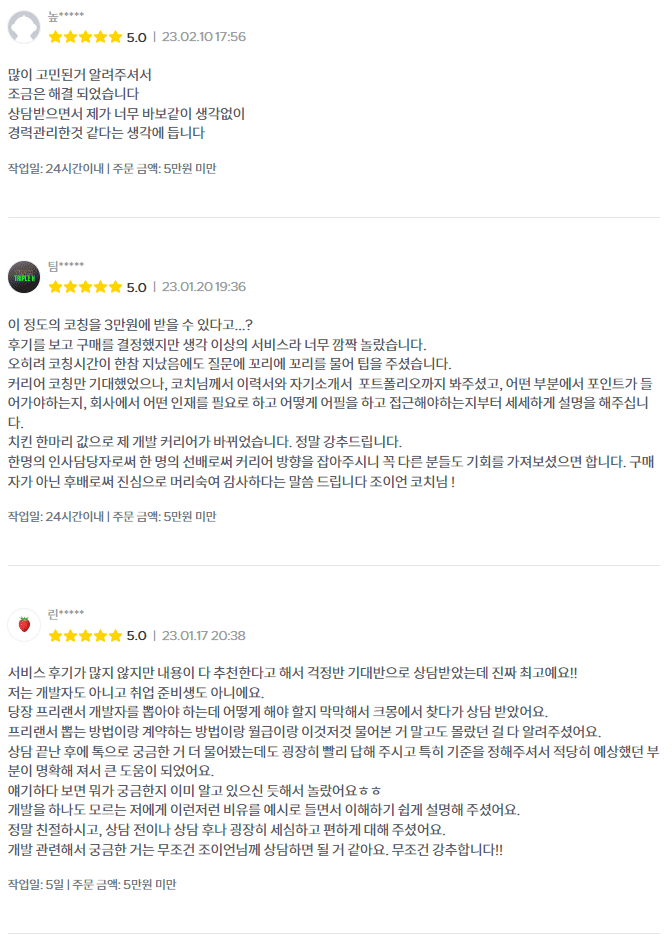 [리뷰]개발자 취업 이직 퇴사 커리어 고민 상담